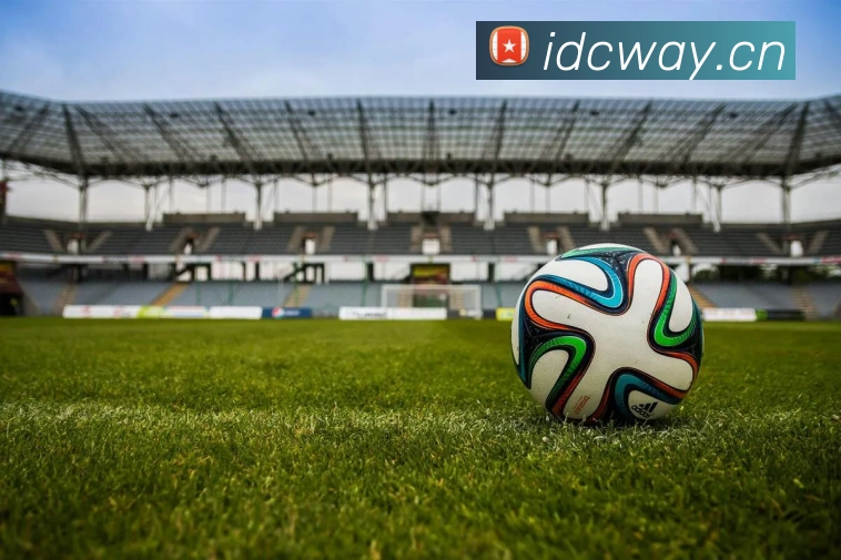 飞博体育平台生态图